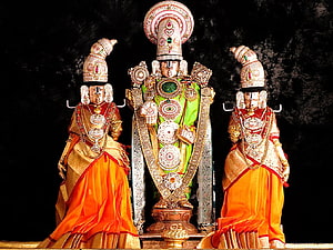 Hindu Deity Statues Adorned in Traditional Silk Sarees and Gold Jewelry HD wallpaper