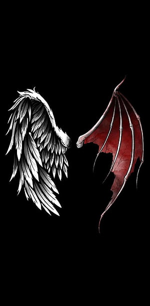 White Angel Wing and Red Demon Wing Illustration on Black Background HD phone wallpaper