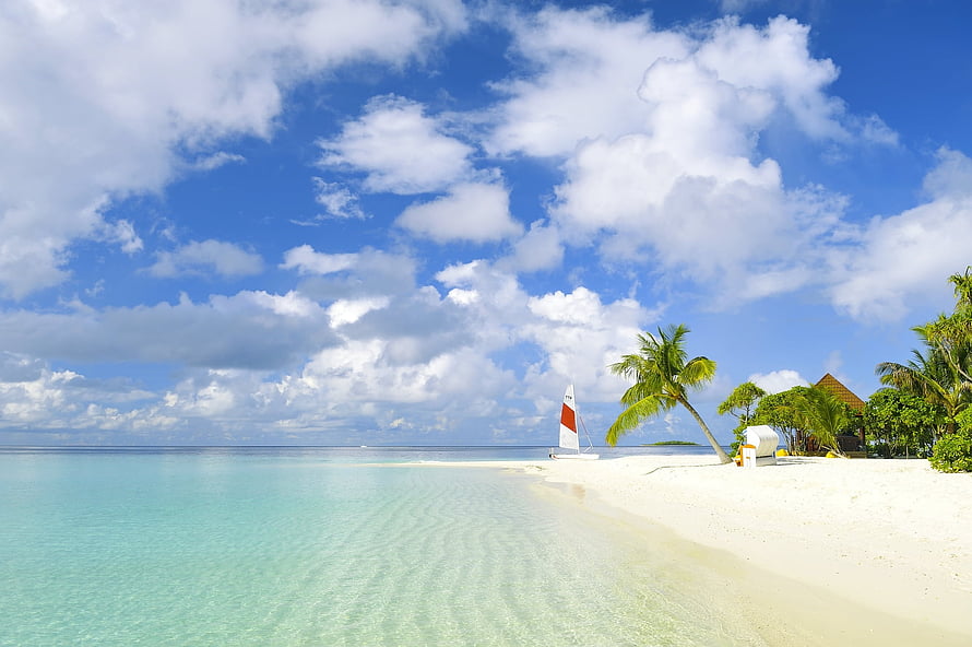 Tropical Island Beach With Sailboat, Palm Trees, and Turquoise Water Under a Blue Sky HD wallpaper