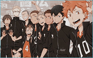 Haikyuu Karasuno Volleyball Team Group Photo Anime Wallpaper HD wallpaper