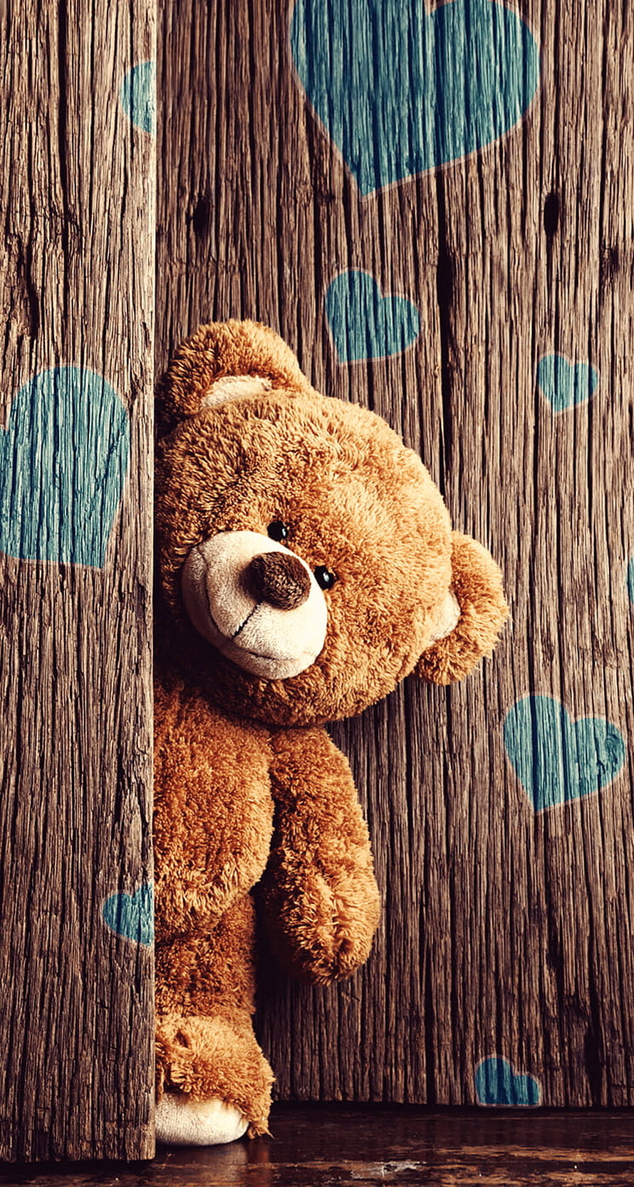 Cute Brown Teddy Bear Peeking From Behind Wooden Planks With Blue Hearts HD phone wallpaper