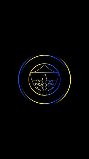 Fenerbahçe Minimalist Emblem with Blue and Gold Neon Lines on Black Background HD phone wallpaper