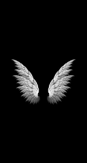 Minimalist White Angel Wings on a Pure Black Background HD phone wallpaper