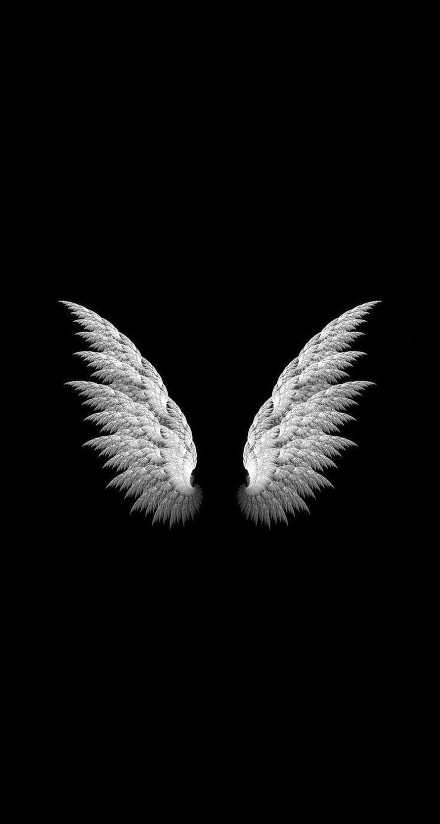 Minimalist White Angel Wings on a Pure Black Background HD phone wallpaper