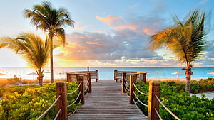 Tropical Wooden Boardwalk Leading To Beach At Sunset With Palm Trees HD wallpaper