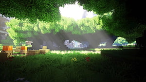 Minecraft Forest Landscape With Sunbeams And Beehives HD wallpaper