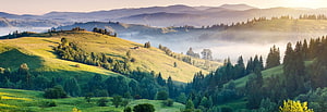 Misty Morning Sunrise Over Rolling Green Hills and Forested Mountains HD wallpaper