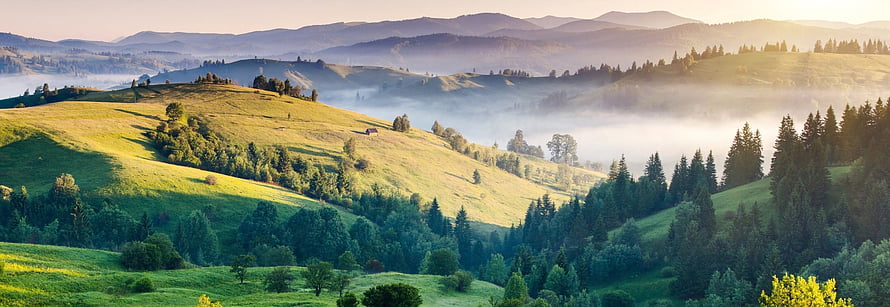 Misty Morning Sunrise Over Rolling Green Hills and Forested Mountains HD wallpaper