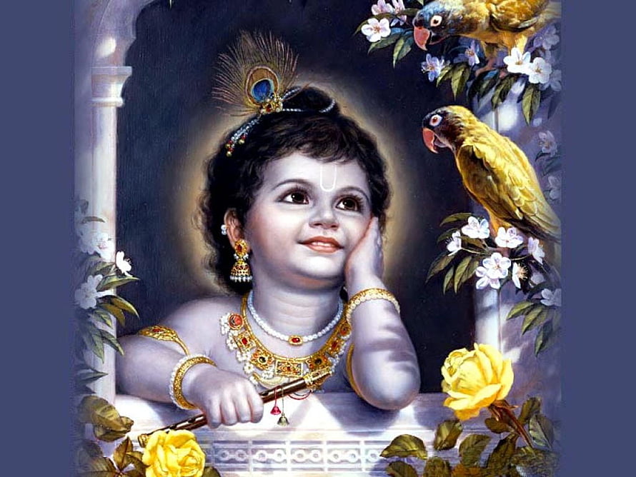 Bal Krishna Portrait with Peacock Feather Crown, Gold Jewelry, and Parrots Amidst Blooming Flowers HD wallpaper
