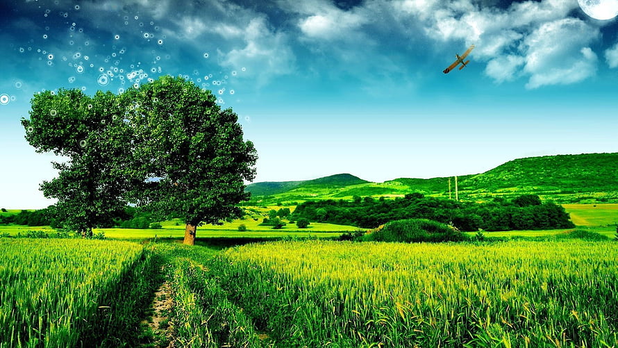 Vibrant Green Pasture With Lone Tree And Distant Hills Under Blue Sky HD wallpaper