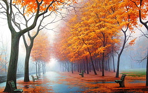 Misty Autumn Park Path Lined With Golden Trees And Benches HD wallpaper