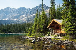 Rustic Log Cabin on the Shore of Lake O'Hara in Yoho National Park, Canada HD wallpaper