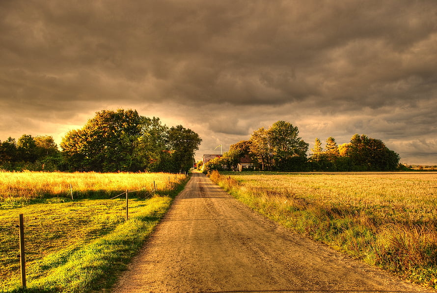 Golden Sunlight on a Rural Dirt Road Through Harvested Fields Under Dramatic Clouds HD wallpaper