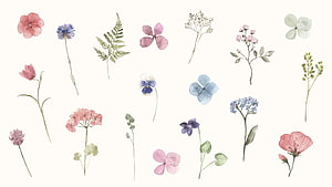 Watercolor Floral Collection Featuring Pink, Blue, and Green Botanical Illustrations on White Background HD wallpaper