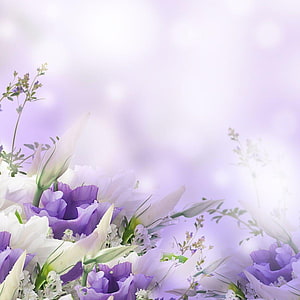 Soft Lavender and White Eustoma Floral Arrangement with Dreamy Bokeh Background HD phone wallpaper