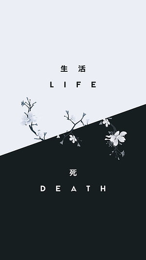 Minimalist Japanese Cherry Blossom Design with Life and Death Text HD phone wallpaper