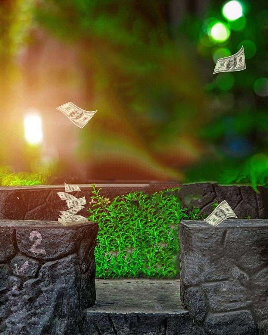 Money Growing Like Plants On Stone Steps In A Magical Forest HD phone wallpaper