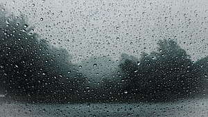 Moody Raindrops on Glass with Blurred Dark Trees in Background HD wallpaper