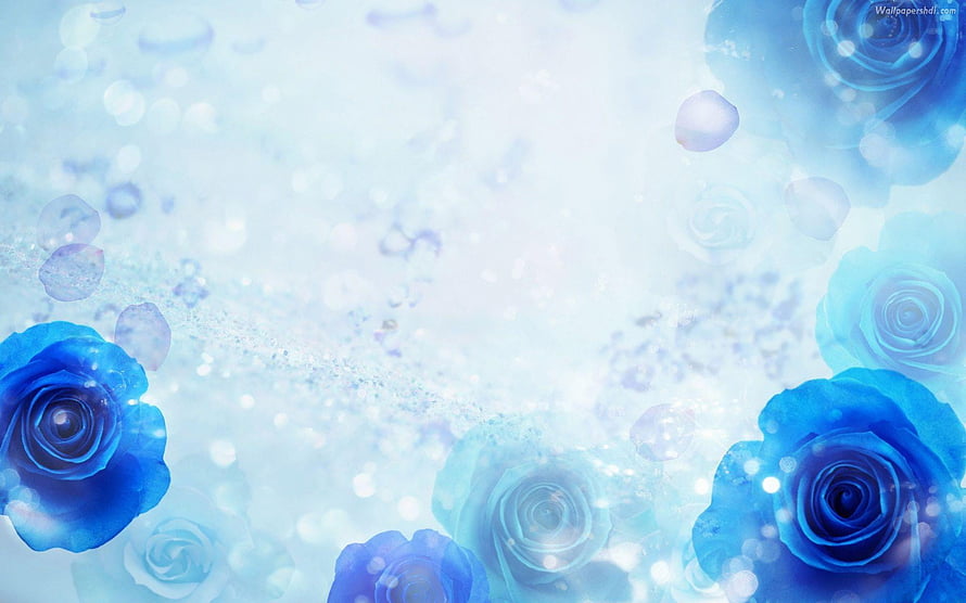 Ethereal Royal Blue Roses with Soft Bokeh and Dreamy Light Effects HD wallpaper