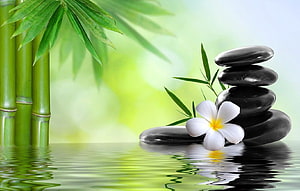 Serene Zen Garden with Stacked Black Stones, White Plumeria Flower, and Bamboo Stalks on Calm Water HD wallpaper