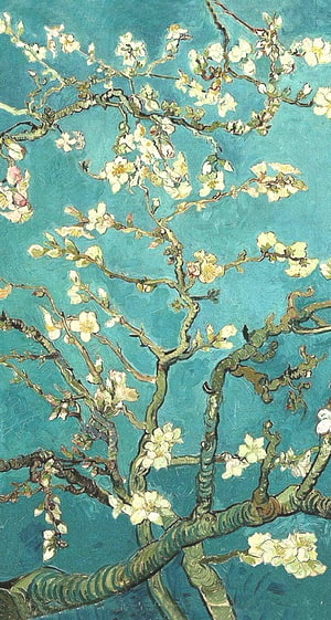Van Gogh Almond Blossom Painting with White Flowers on Turquoise Background HD phone wallpaper