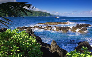 Tropical Coastal Landscape With Lush Green Foliage And Rocky Shoreline HD wallpaper