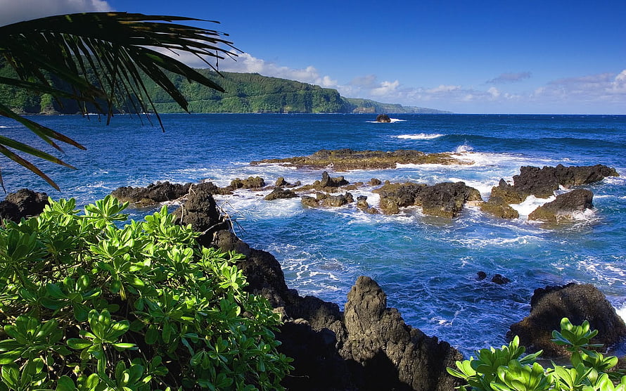 Tropical Coastal Landscape With Lush Green Foliage And Rocky Shoreline HD wallpaper
