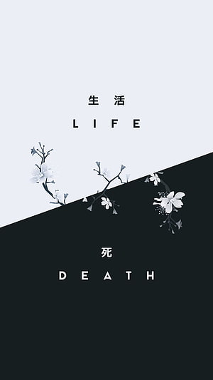 Minimalist Japanese Cherry Blossom Design with Life and Death Typography HD phone wallpaper