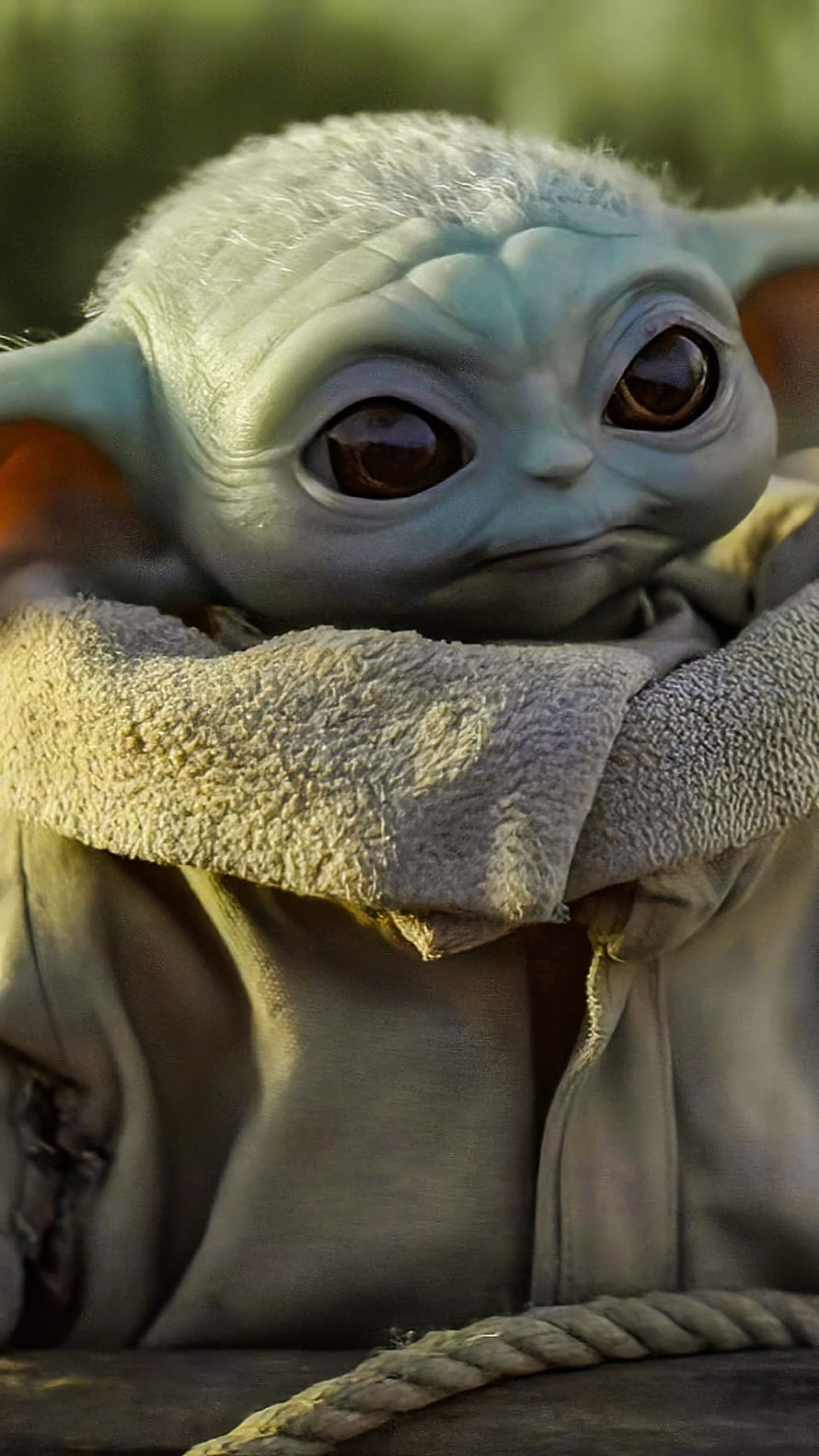 Grogu from The Mandalorian in a Close-Up Portrait Wearing a Tattered Robe HD phone wallpaper