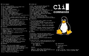 Linux Command Line Reference Guide with Tux Mascot and Terminal Cheat Sheet HD wallpaper