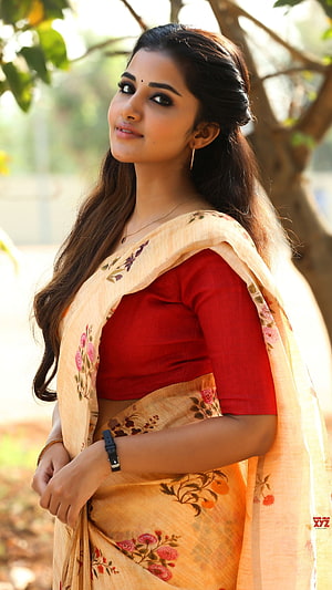 Sneha Ullal in a Yellow Floral Saree and Red Blouse Portrait HD phone wallpaper