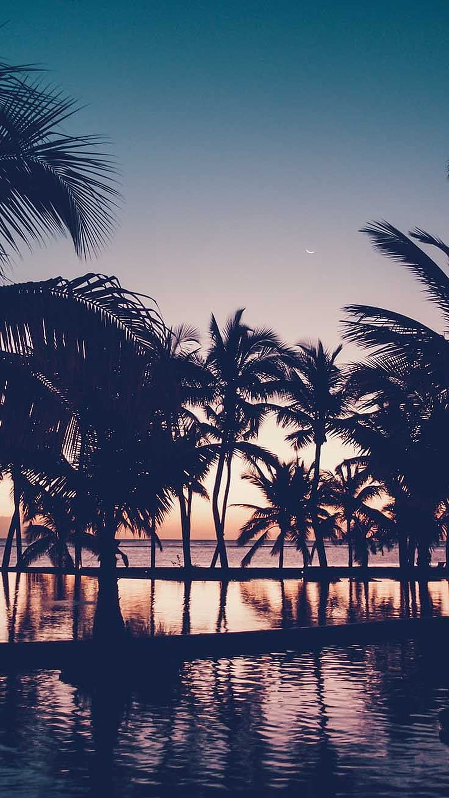 Serene tropical sunset with palm tree silhouettes reflected in calm water under a crescent moon HD phone wallpaper
