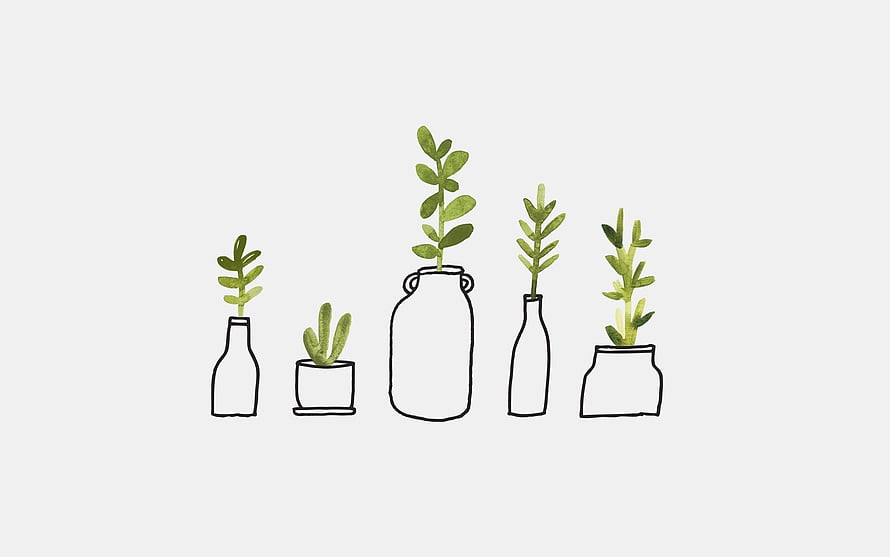 Minimalist Watercolor Illustration of Succulents in Hand-Drawn Vases and Pots HD wallpaper