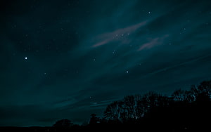 Starry Night Sky Over Silhouetted Trees With Faint Clouds and Deep Teal Atmosphere HD wallpaper
