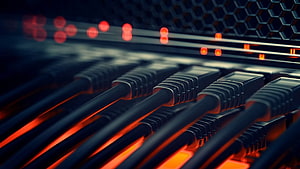 Close-Up of Ethernet Cables Plugged into Server Ports with Red LED Indicators HD wallpaper
