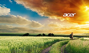 Acer Wallpaper: Hiker Walking Through Golden Wheat Field at Sunset HD wallpaper