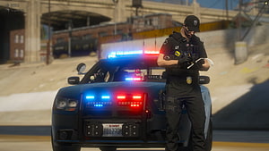GTA 5 Police Officer Writing Ticket Beside Marked Cruiser With Active Emergency Lights HD wallpaper