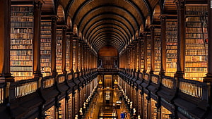 Grand Long Room Library Interior with Arched Wooden Ceiling and Bookshelves HD wallpaper