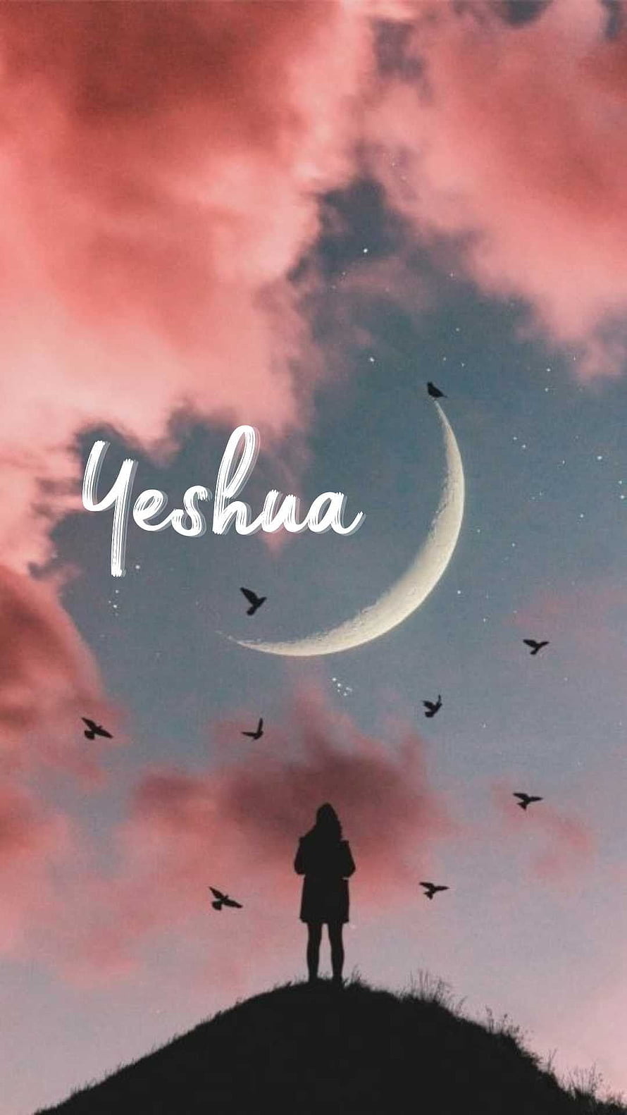 Yeshua Silhouette on Hilltop with Crescent Moon and Birds in Pink Sky HD phone wallpaper