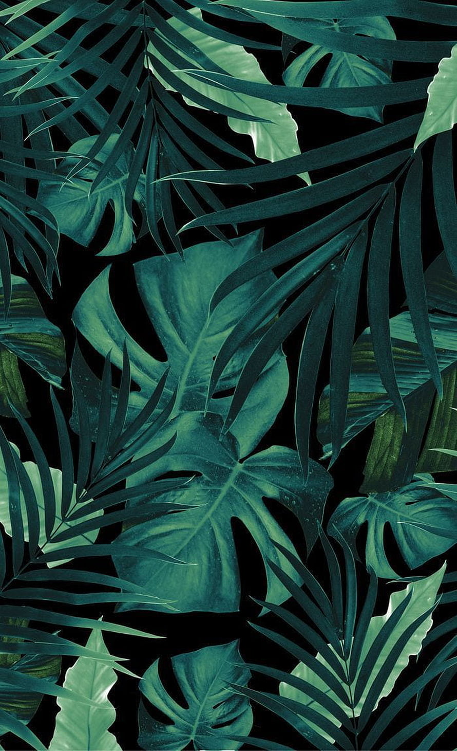 Dark Tropical Jungle Leaves Pattern with Monstera and Palm Fronds on Black Background HD phone wallpaper