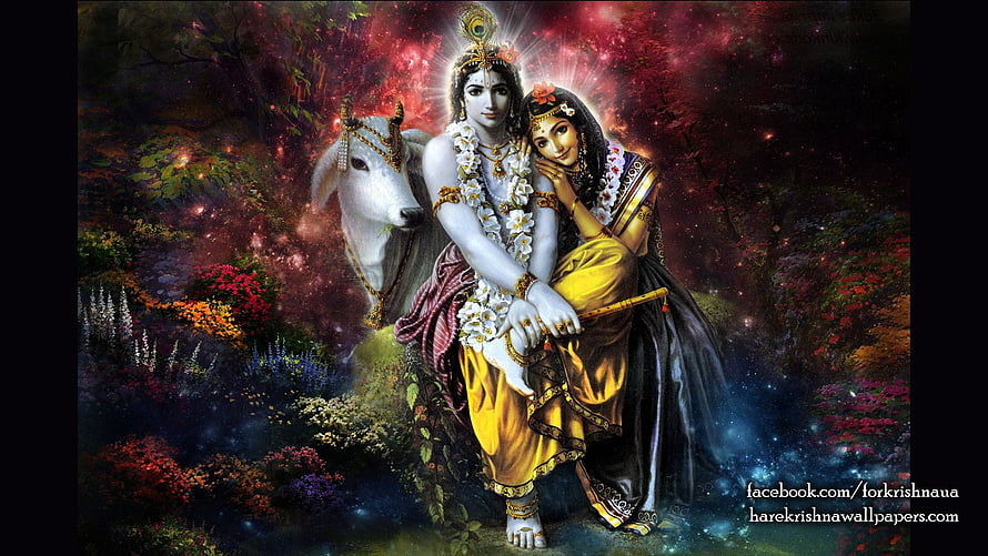 Radha and Krishna with Kamadhenu in a Mystical Forest HD wallpaper
