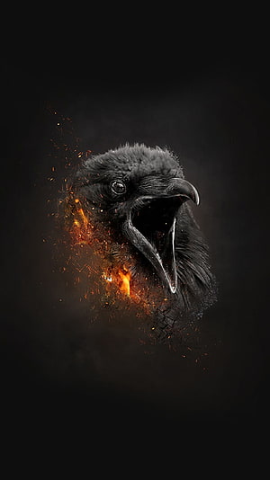 Gothic Raven with Fiery Sparks and Dark Background HD phone wallpaper