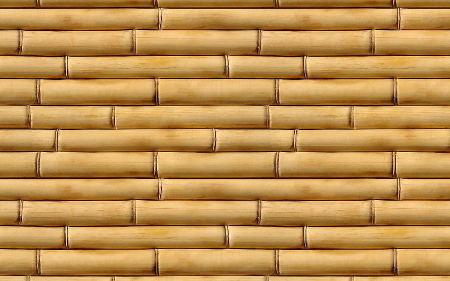 Natural Bamboo Wall Texture with Horizontal Stalks and Warm Tones HD wallpaper