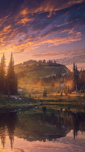 Golden Sunset Over Mountain Lake With Pine Trees And Dramatic Clouds HD phone wallpaper