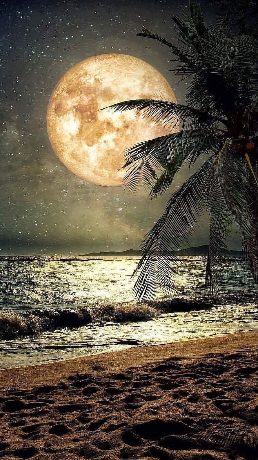 Giant Full Moon Over Tropical Beach With Palm Tree Silhouette And Starry Night Sky HD phone wallpaper