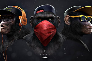 Three Cool Hip Hop Chimps With Headphones, Sunglasses, And Bandana HD wallpaper