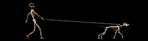 Skeletal Human Walking a Skeletal Dog on a Long Leash Against a Black Background, Amazing Creative Dual Screen Monitor, Funny Dual HD wallpaper