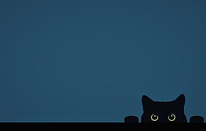 Cute Black Cat Peeking Over Edge With Glowing Yellow Eyes On Blue Background HD wallpaper