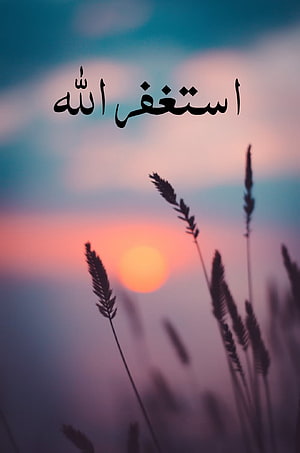 Serene Sunset Over Silhouetted Grass Stalks With Arabic Calligraphy Text Overlay HD phone wallpaper