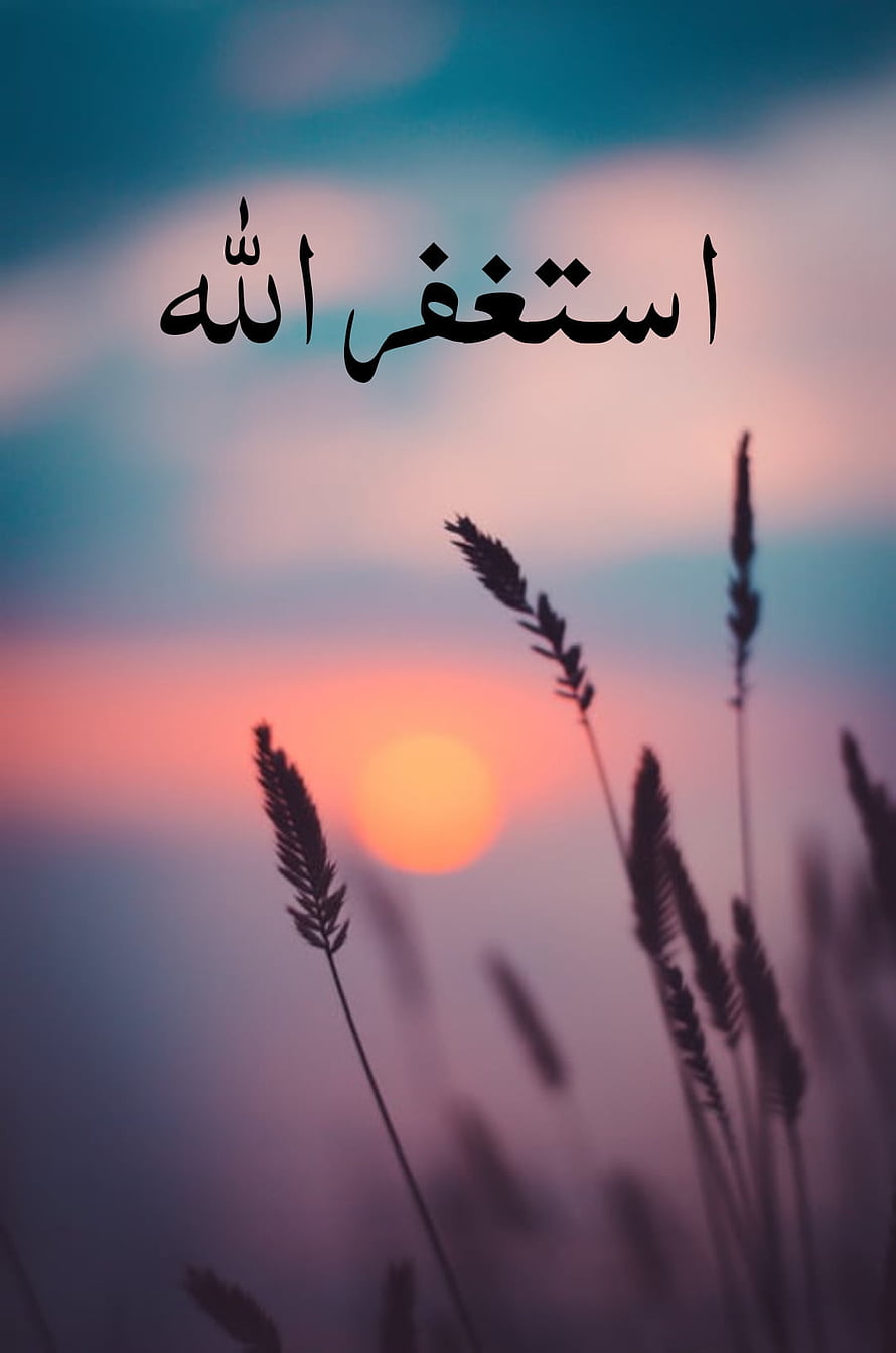 Serene Sunset Over Silhouetted Grass Stalks With Arabic Calligraphy Text Overlay HD phone wallpaper